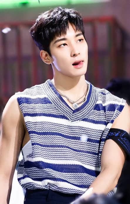 Jeon Wonwoo thumbnail