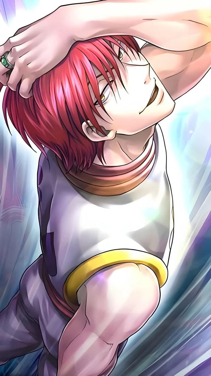 Hisoka thumbnail