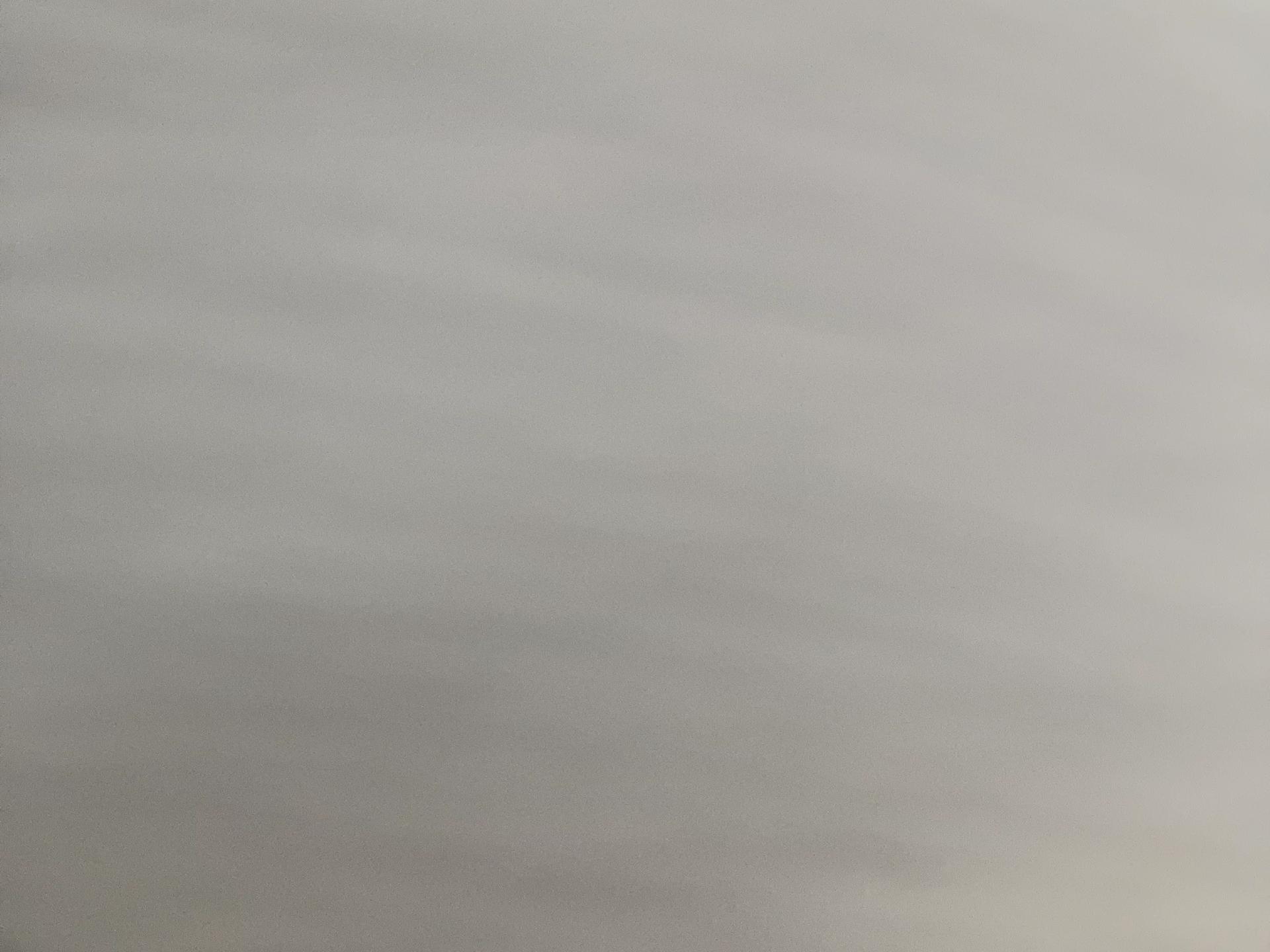 Sarah thumbnail