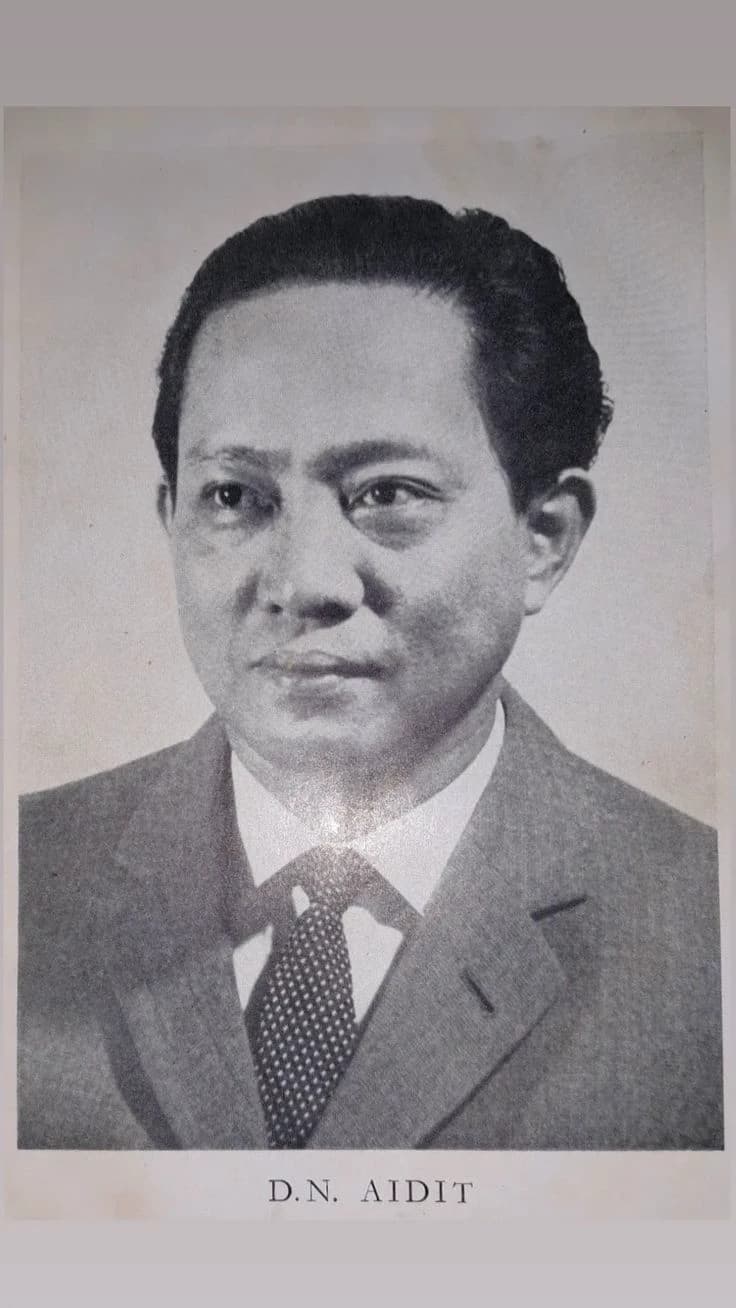 D.N AIDIT. thumbnail