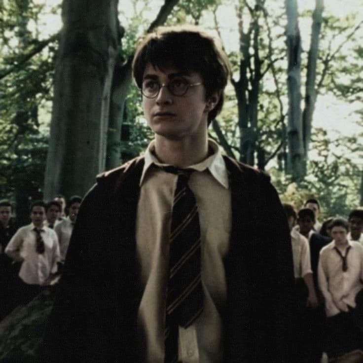Harry Potter thumbnail