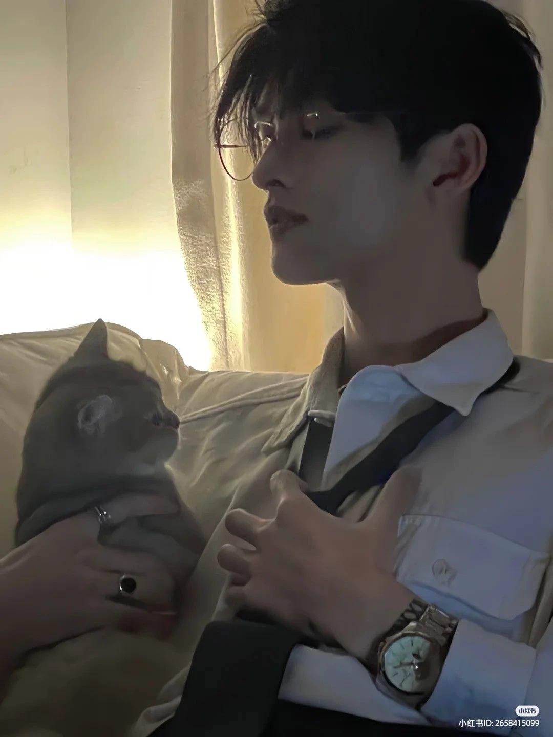 Argaven thumbnail