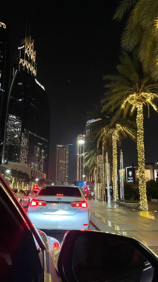 The Sheikh of Dubai thumbnail