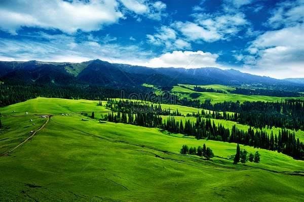 The sun, the wind and the bushes of the steppe thumbnail