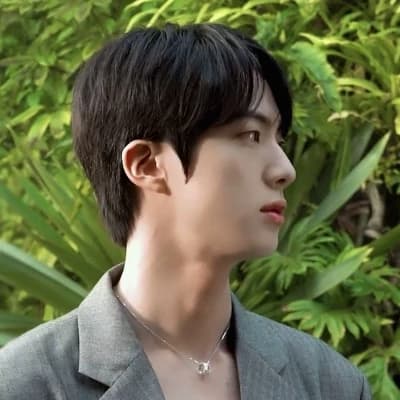Seokjin thumbnail