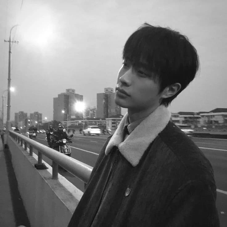 Lee Jin-hwang 👤 thumbnail