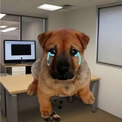 Crying Puppy thumbnail