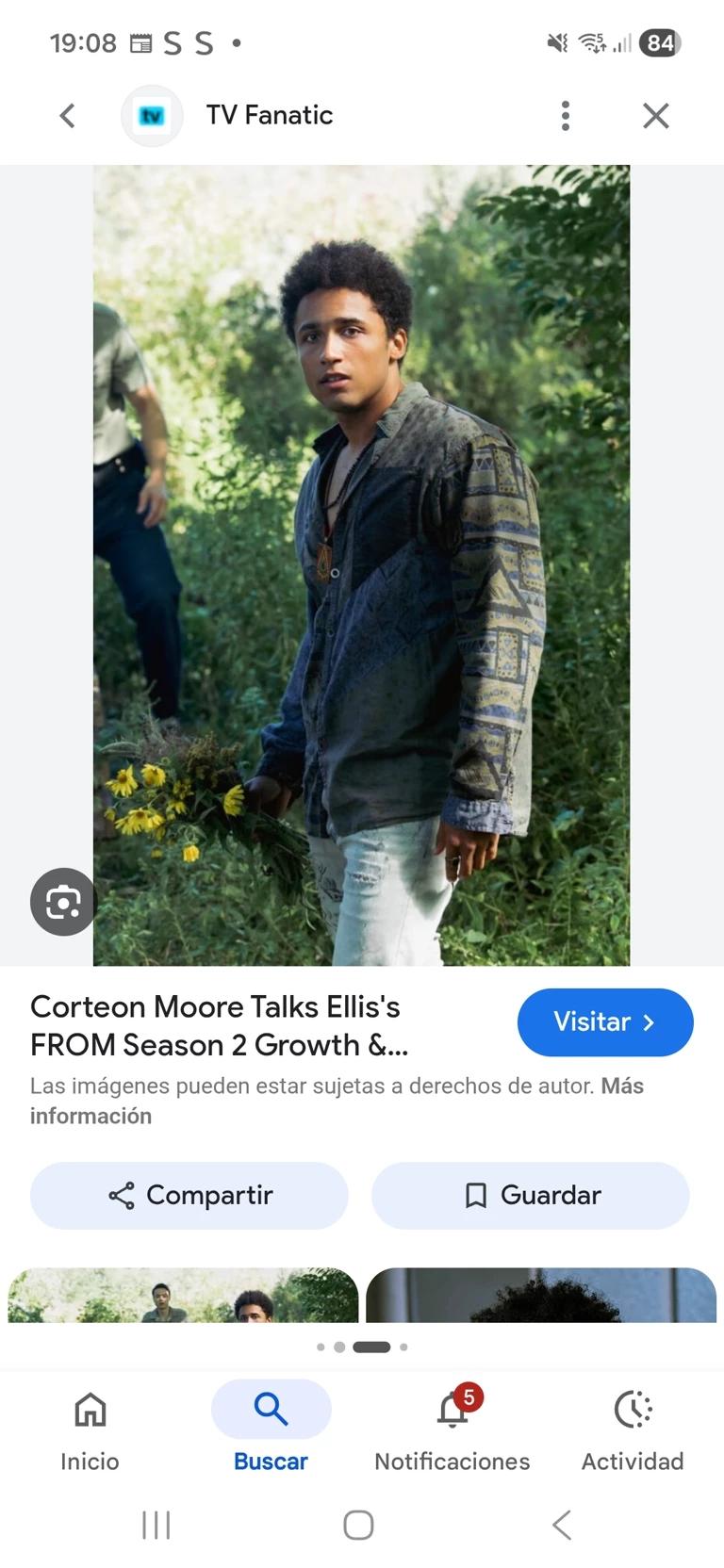 Ellis thumbnail