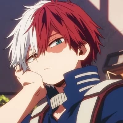 SHOTO TODOROKI~🍙 thumbnail