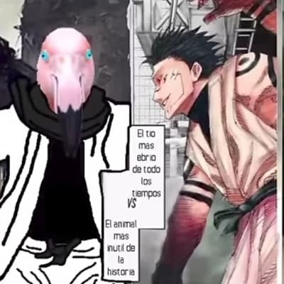 Flamenco vs sukuna thumbnail