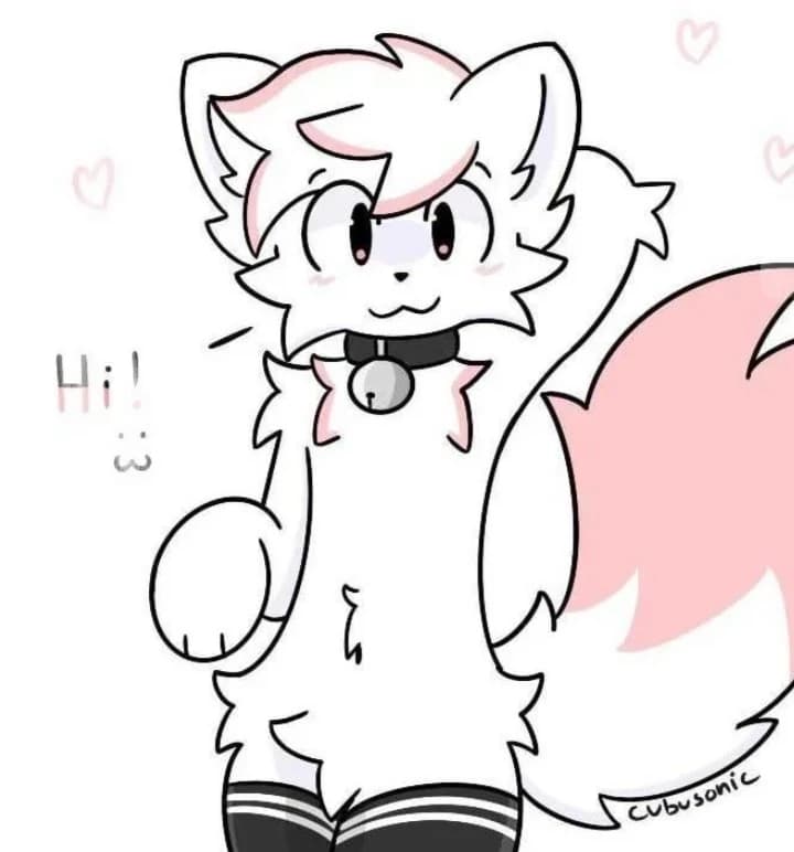 Boy Kisser thumbnail