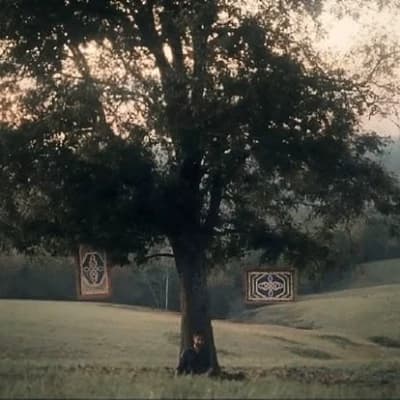 The Sanctuary  thumbnail