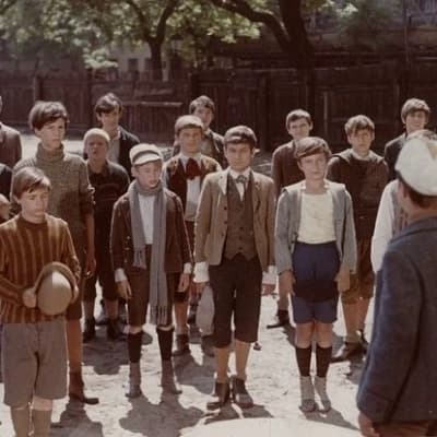 Boys from the Square of Arms thumbnail