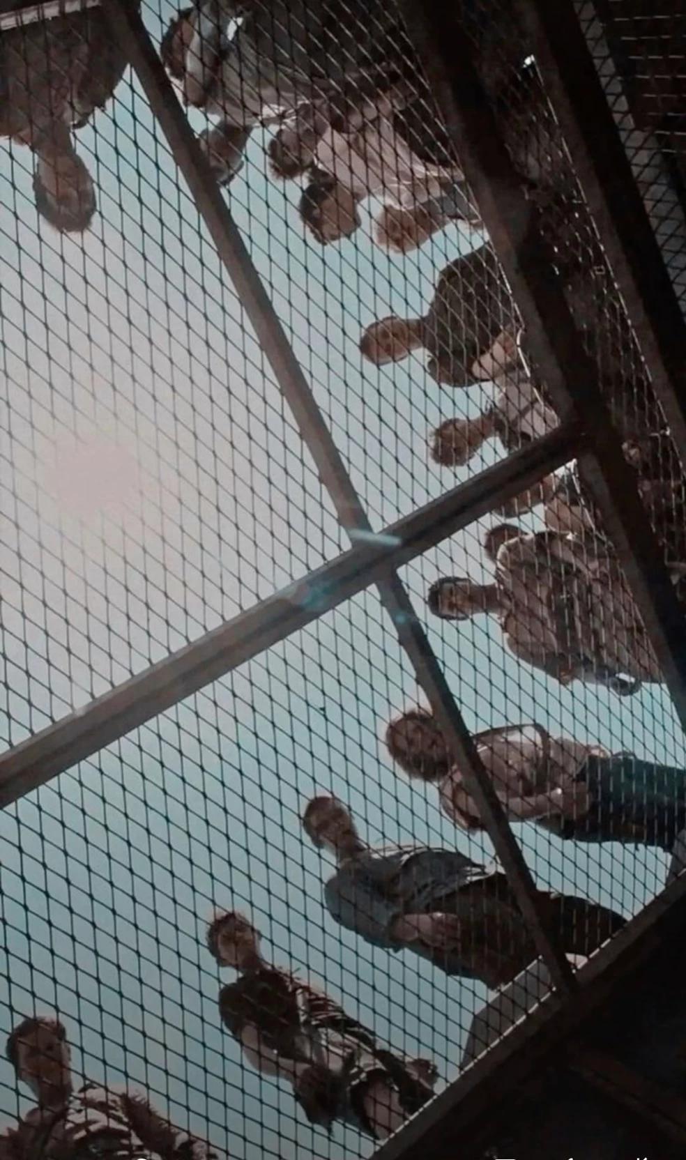 The Maze Runner  thumbnail