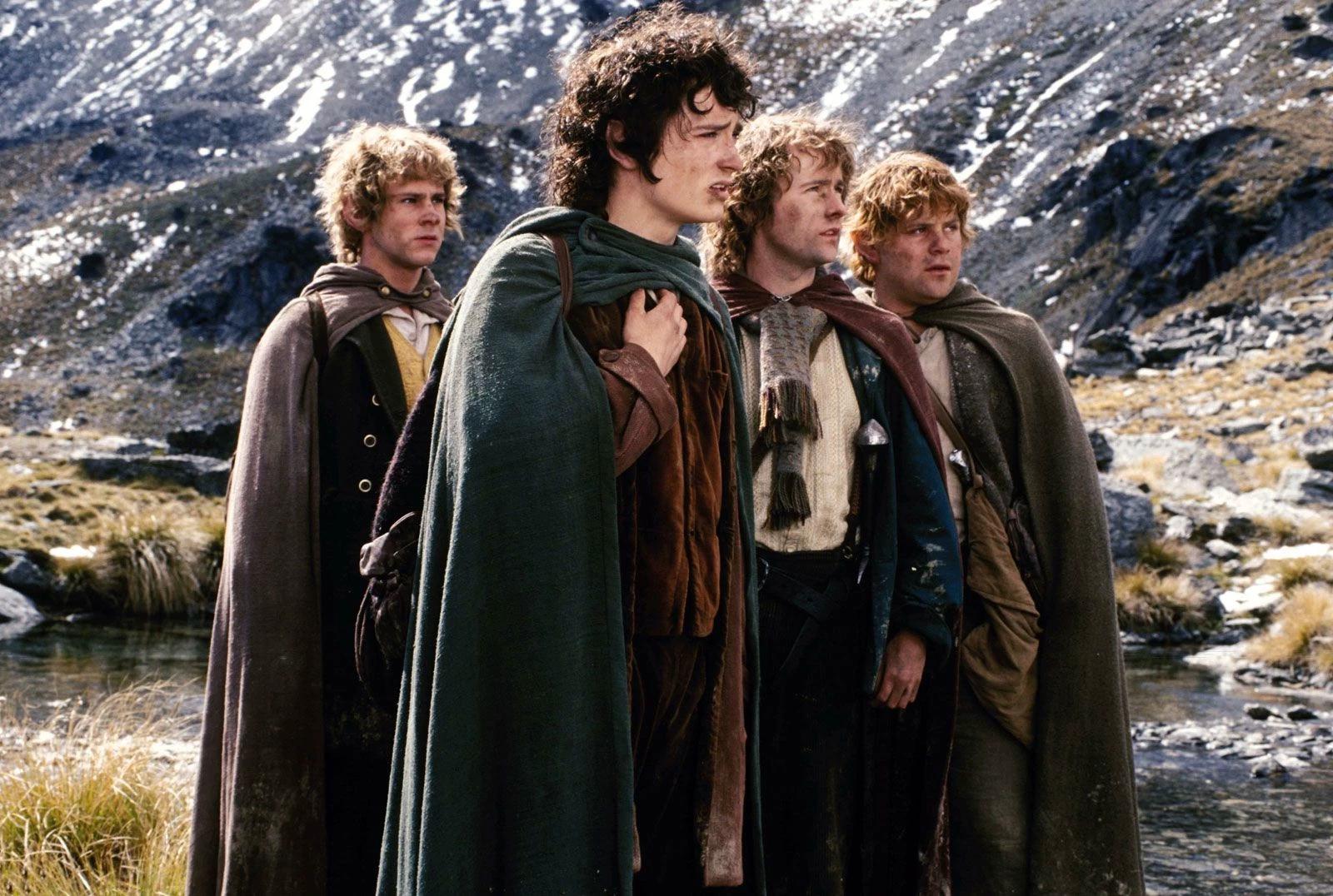 The fellowship of the ring thumbnail