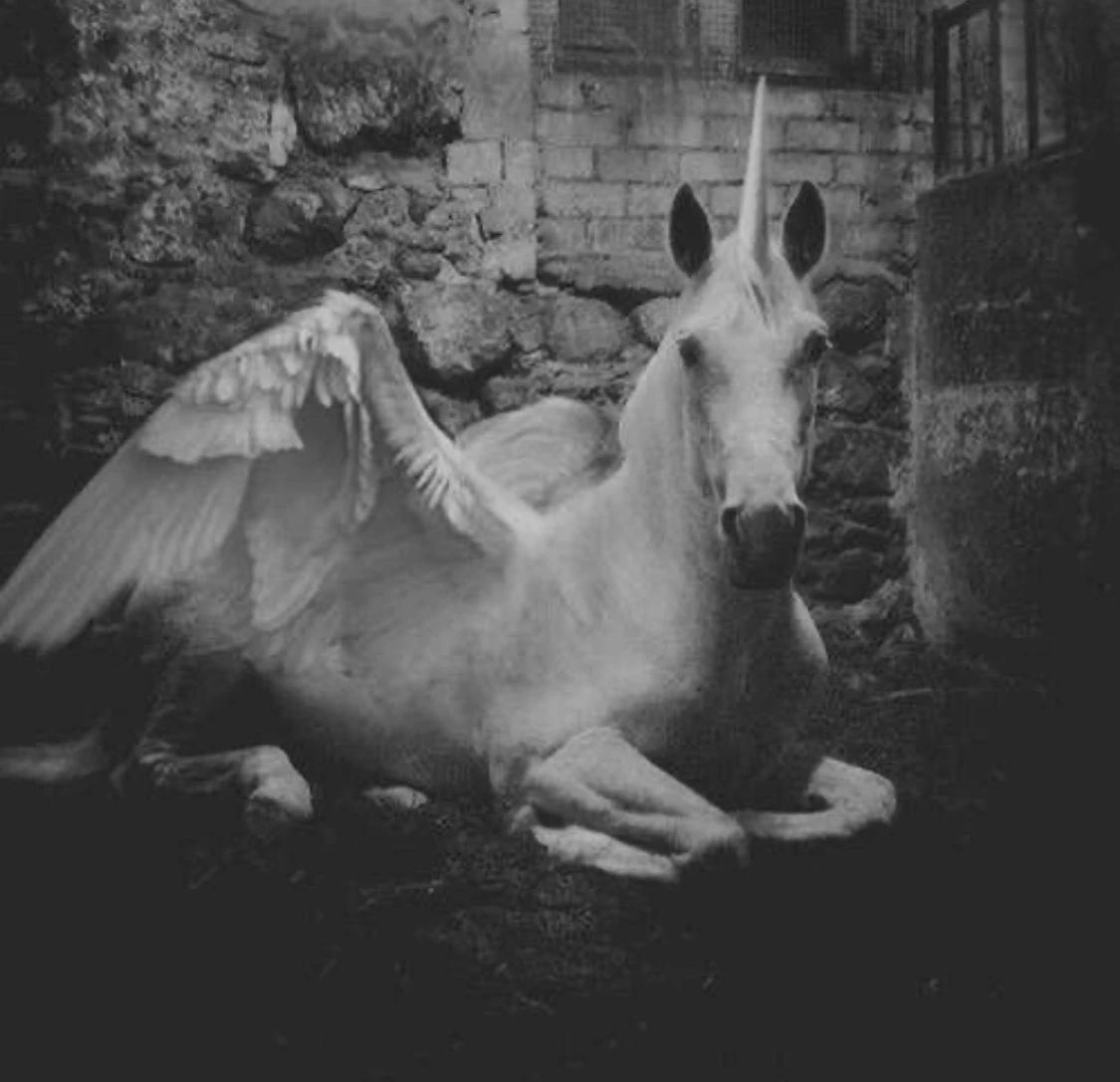 Alicorn [USER] -BL thumbnail