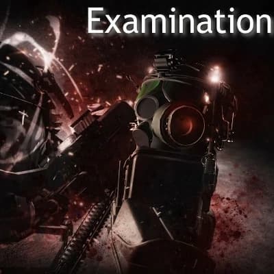 EXAMINATION thumbnail