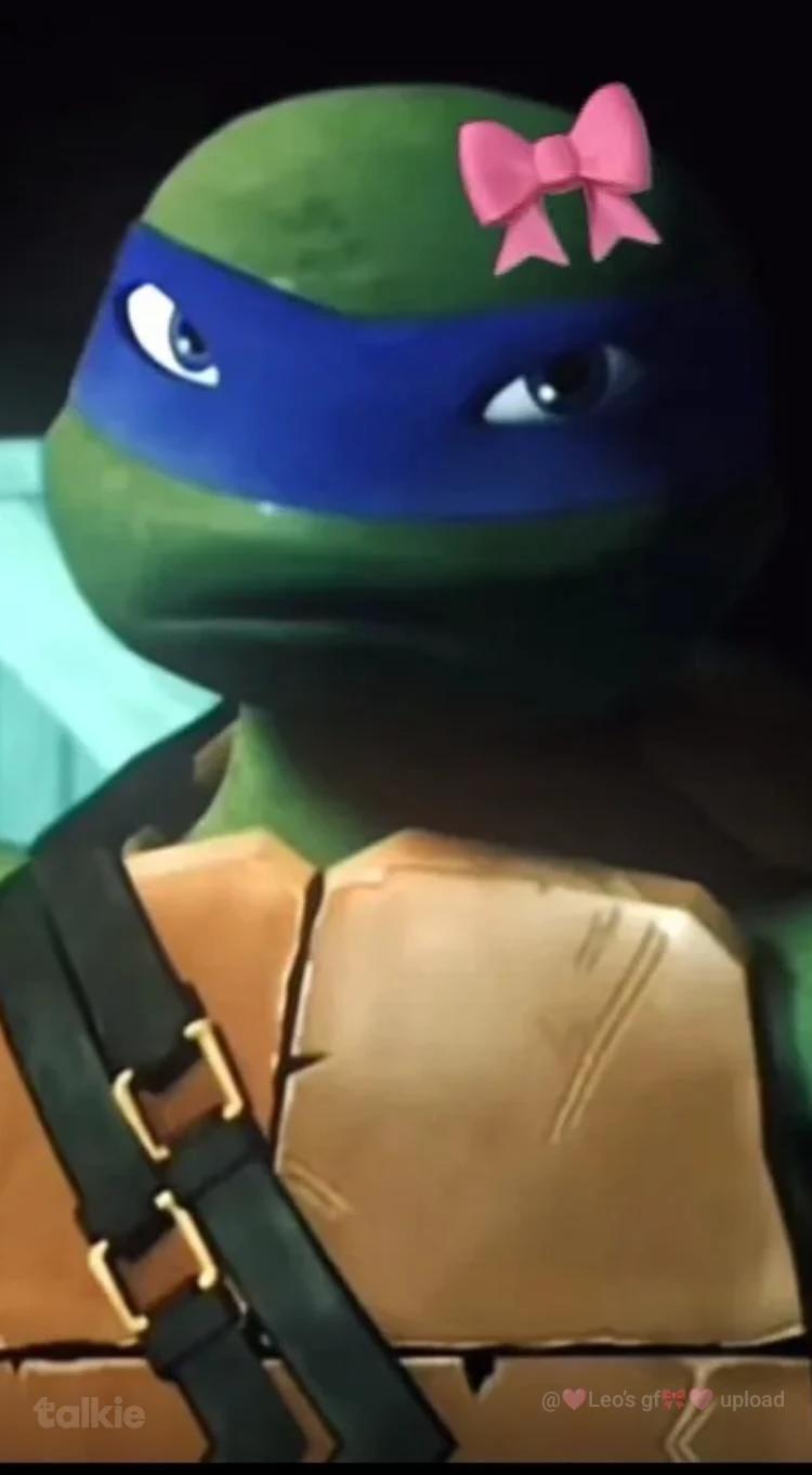 Leonardo  thumbnail