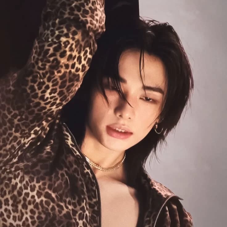 ||Hwang Hyunjin thumbnail
