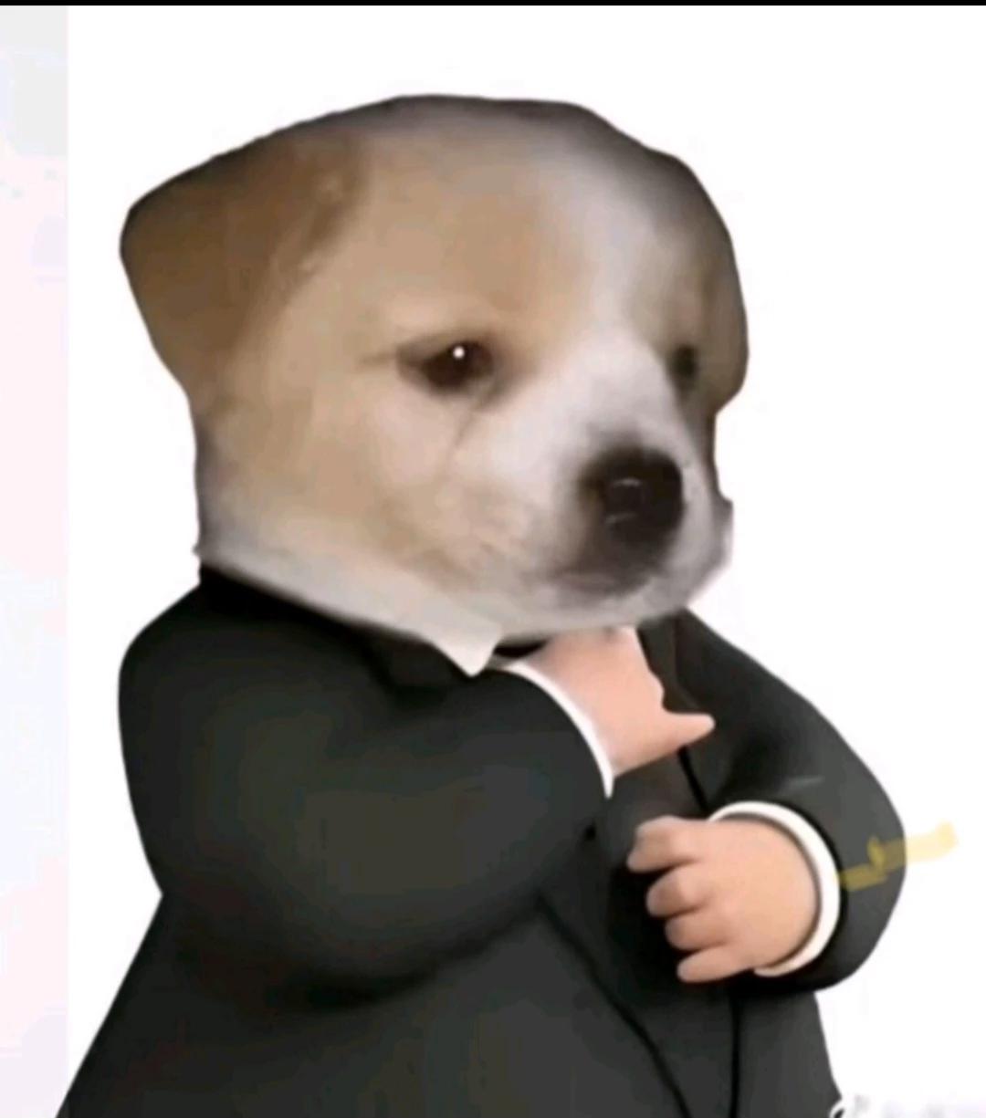 King Tam thumbnail