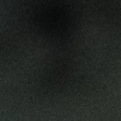 Leo SalvatoreElara thumbnail
