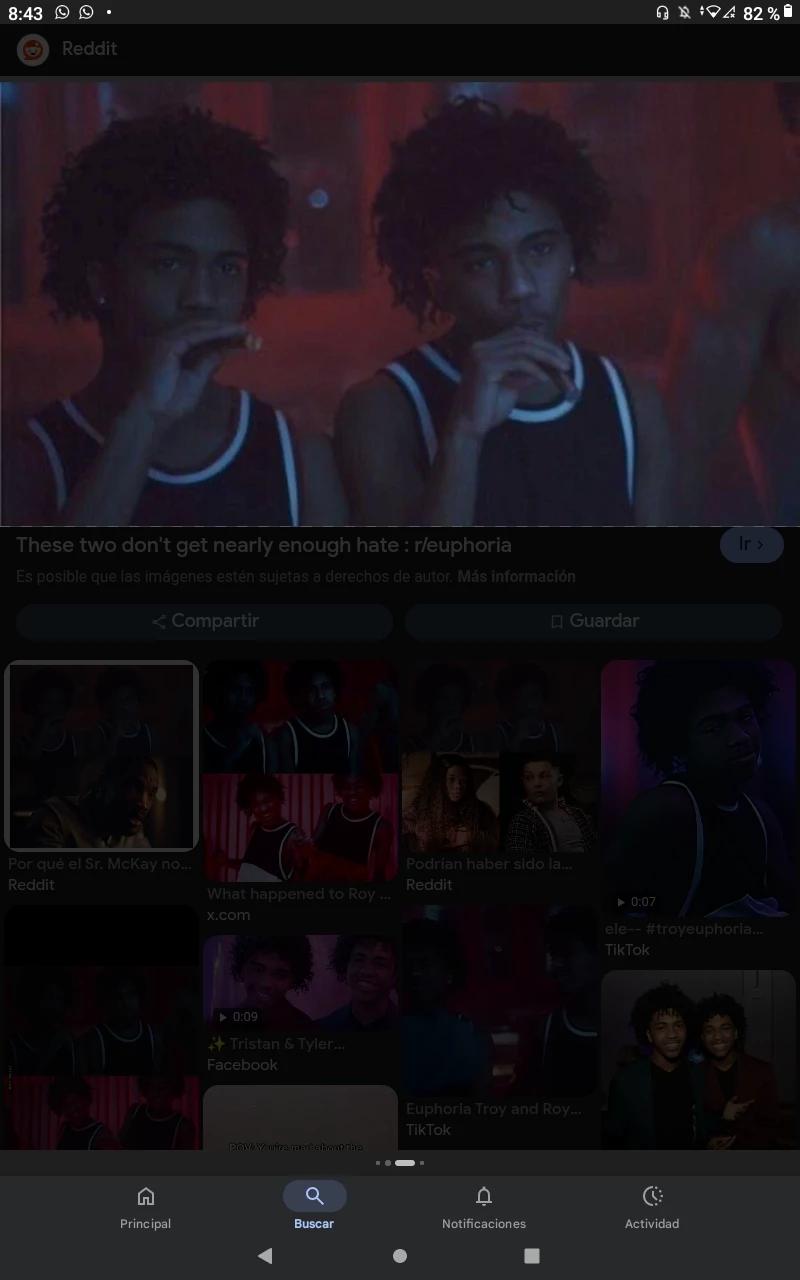 Roy and Troy thumbnail