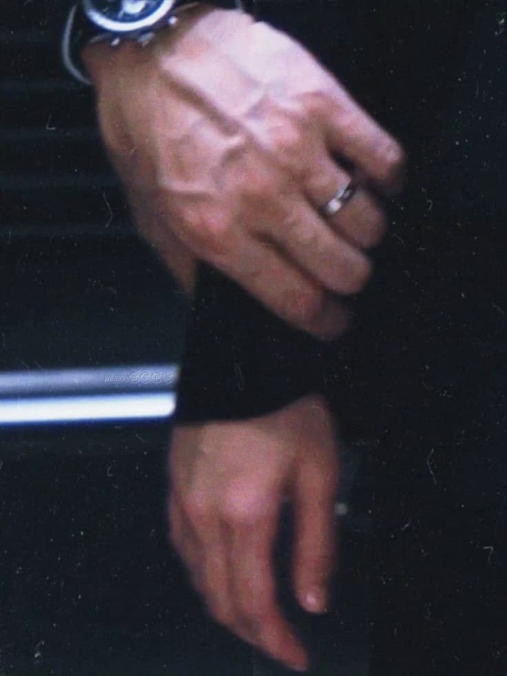 Alessio Vittori, Mafia Boss Dangerous Husband, (my happy marriage plot)  thumbnail
