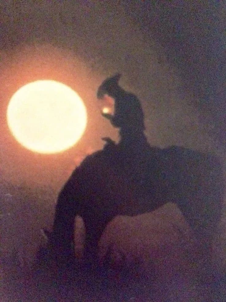 Cowboy thumbnail
