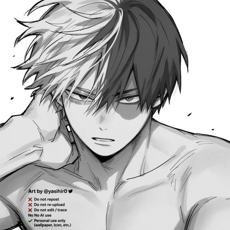 Todoroki Shoto thumbnail