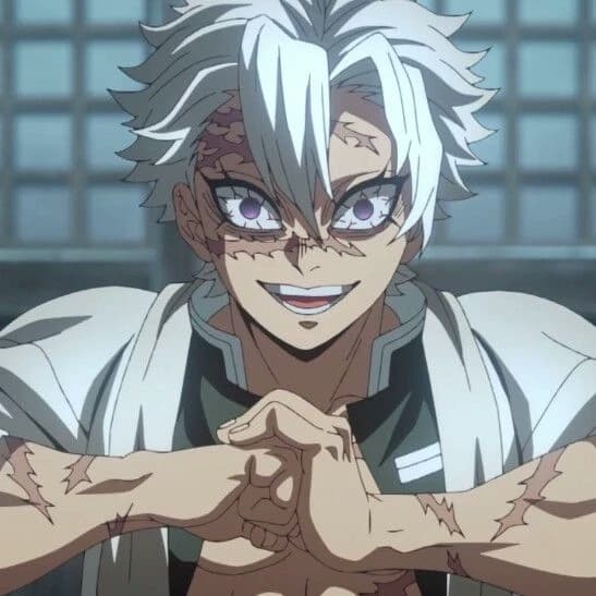 🥀Sanemi Shinazugawa🩸 thumbnail