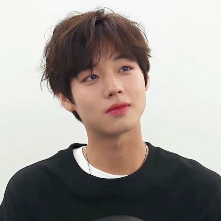 Park Jihoon  thumbnail