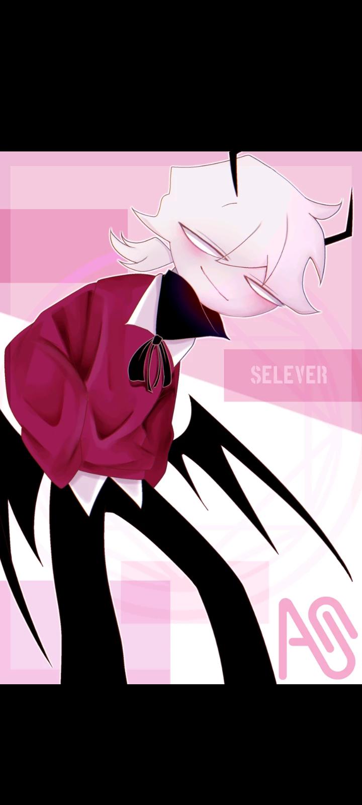 Selever thumbnail