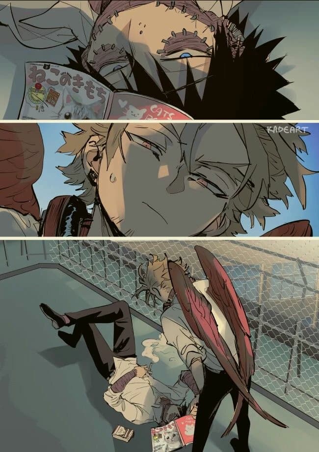 No × Hawks thumbnail
