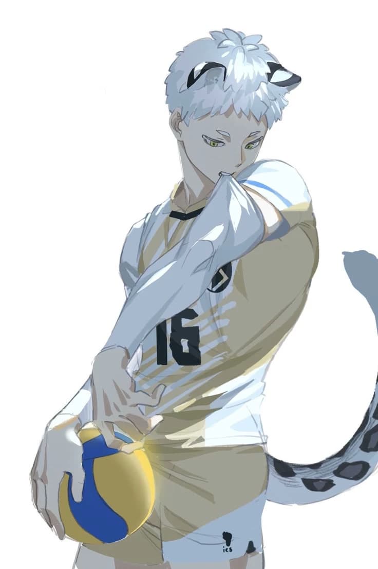 Hoshiumi Korai thumbnail