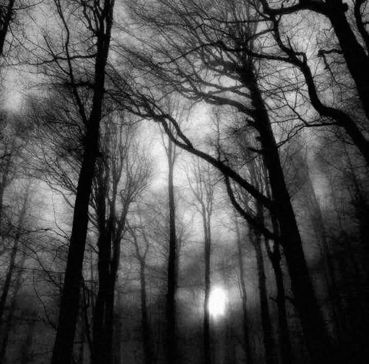 Death Forest thumbnail