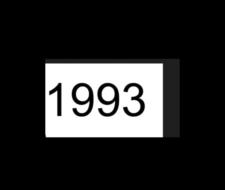 1993 thumbnail