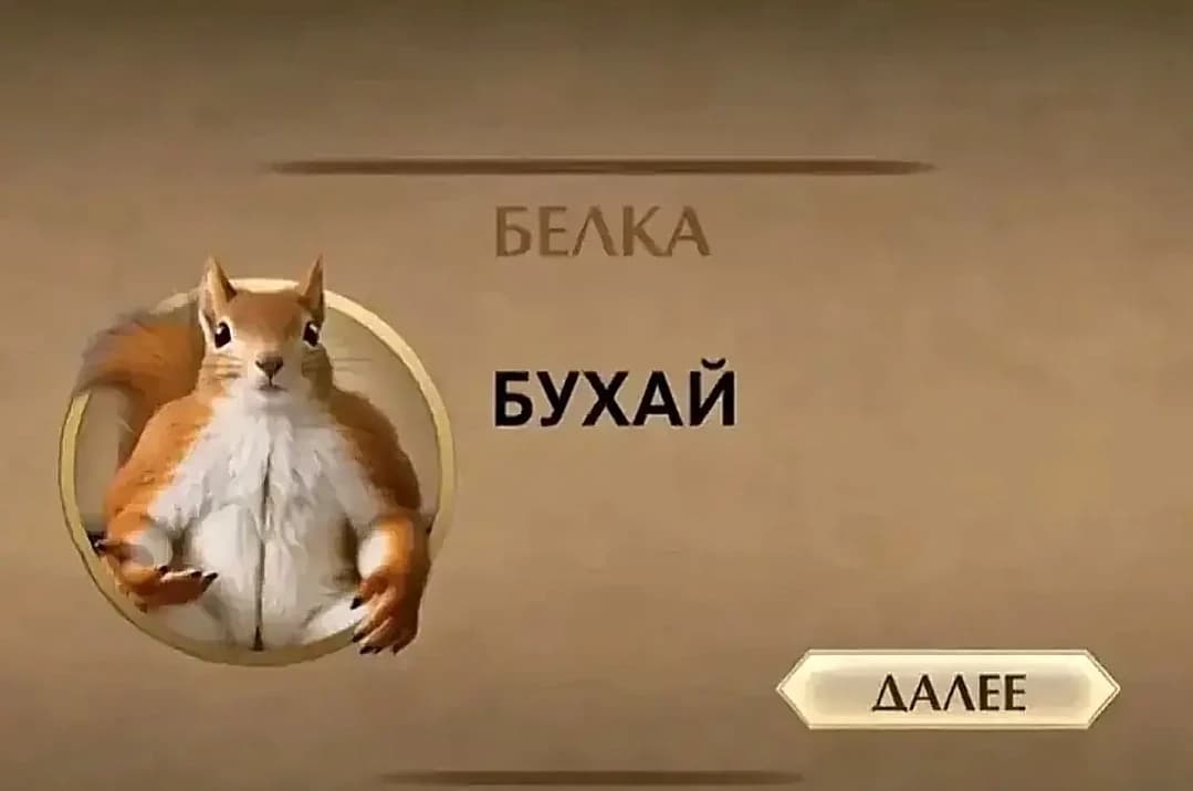 Zone nadir  thumbnail