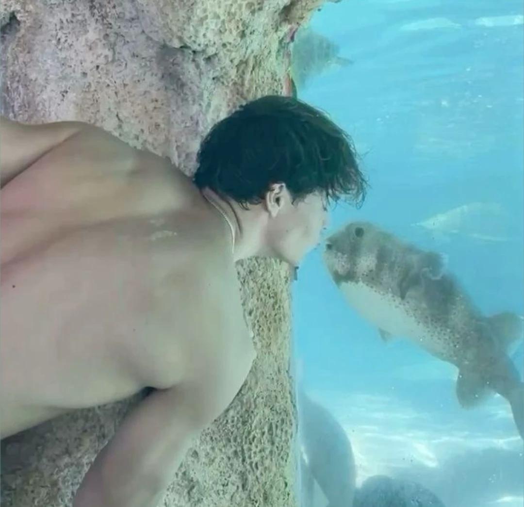Perseus Jackson thumbnail