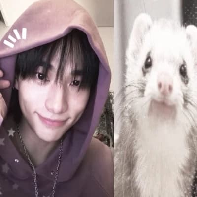 Hyunjin thumbnail