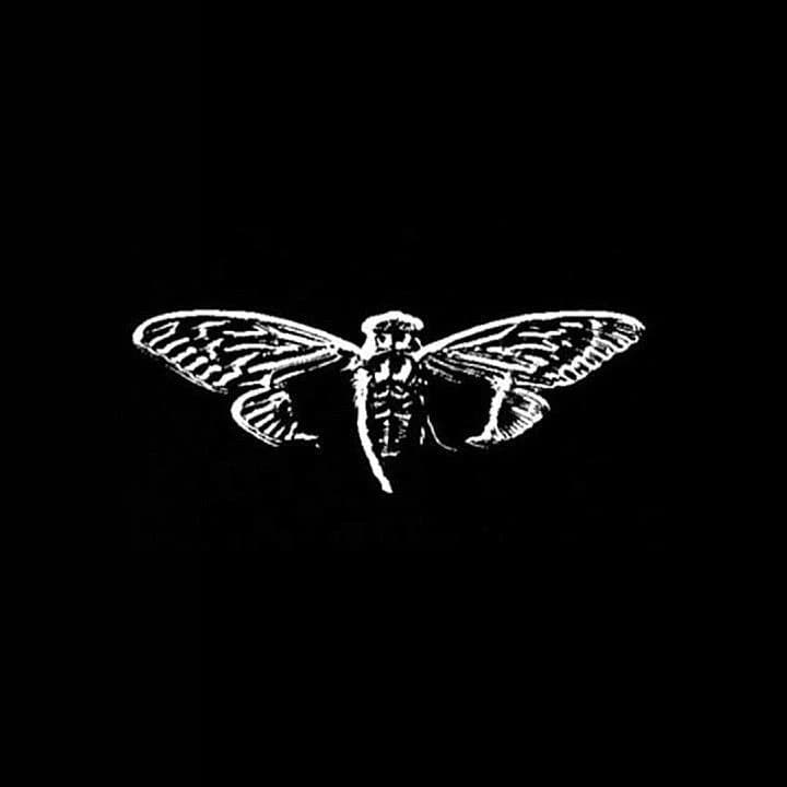 CICADA 3301 thumbnail