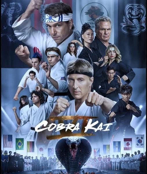Cobra Kai (Season 6) thumbnail