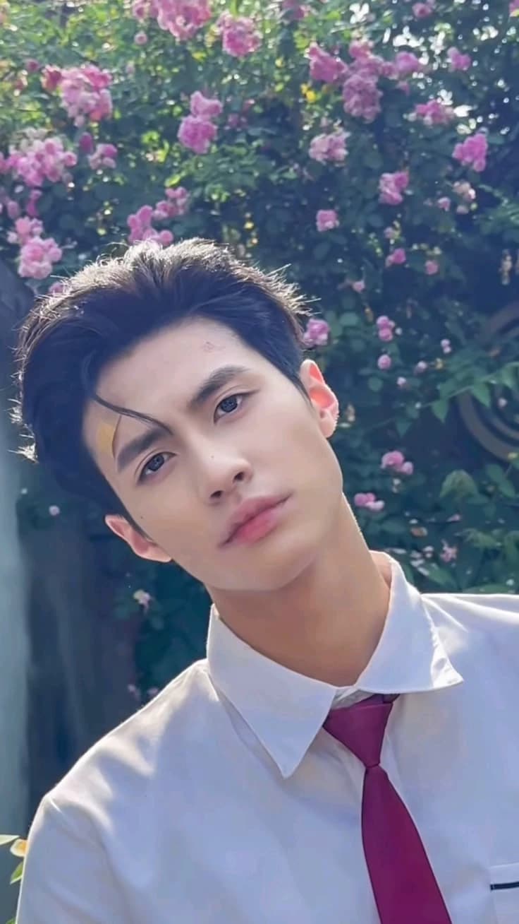Yang Peng Chen thumbnail