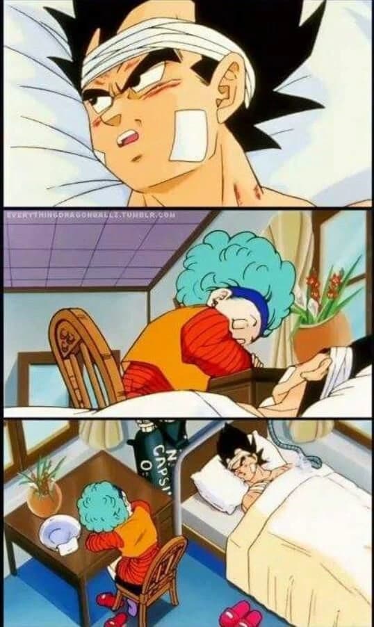Bulma y Vegeta  thumbnail