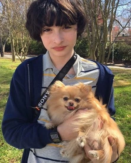 Finn Wolfhard thumbnail