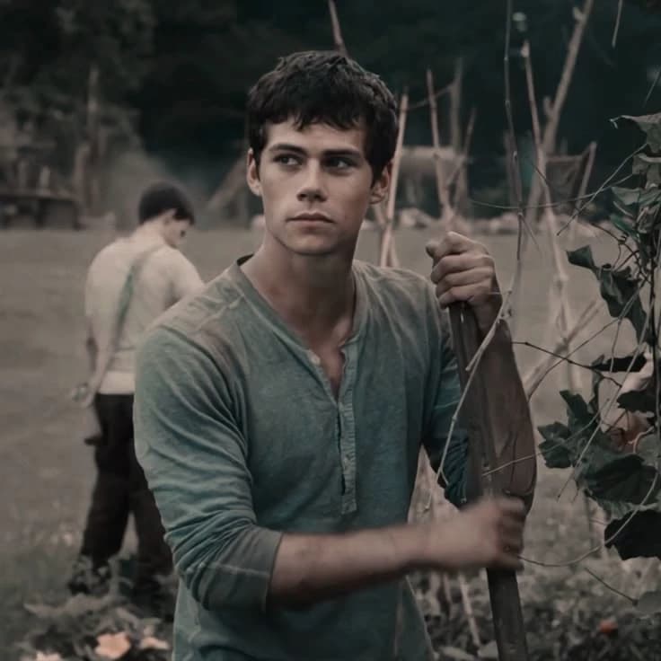 Thomas - TMR thumbnail