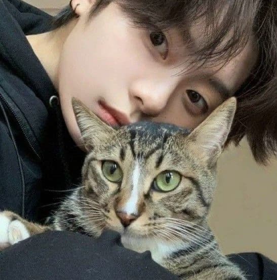 Lee Know thumbnail