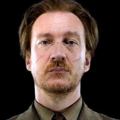 Remus 'Moony' Lupin (Forma de Lobisomem Doméstica)  thumbnail