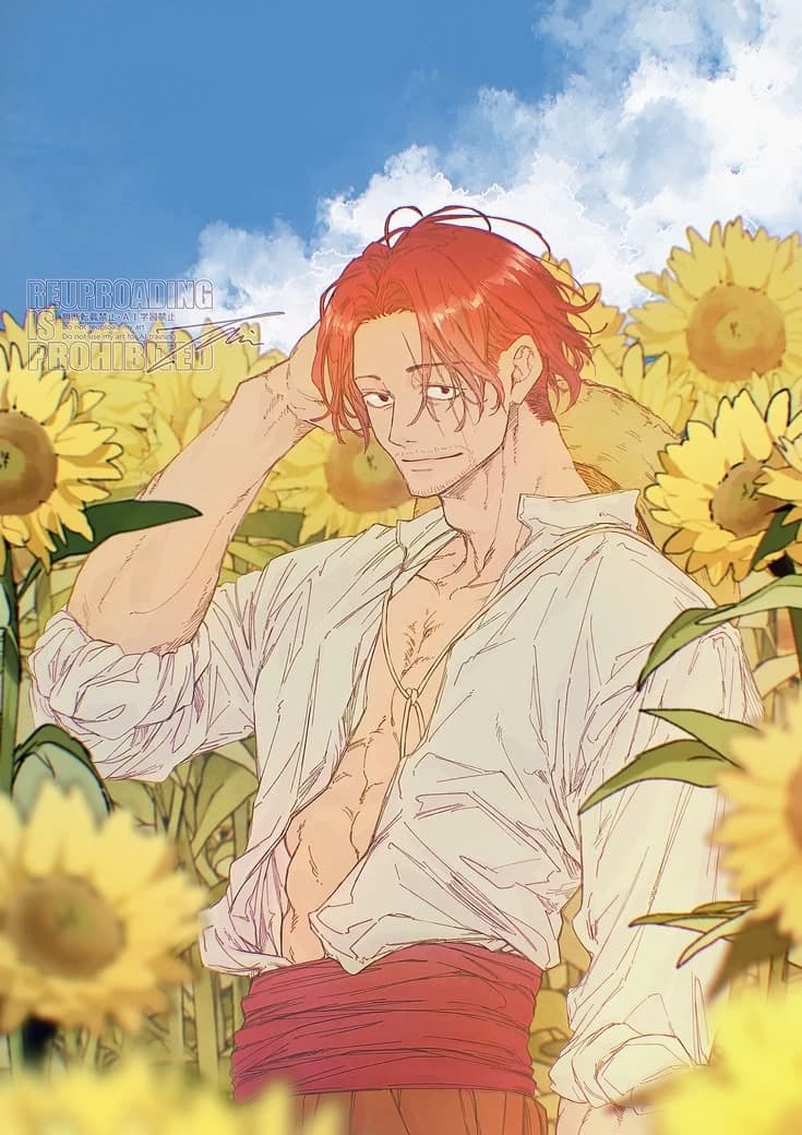 Shanks Figarland  thumbnail