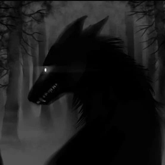 Silas thumbnail