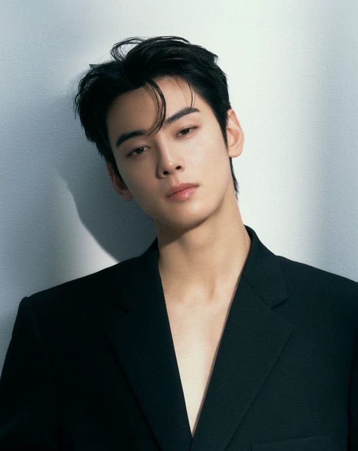 Cha Eunwoo ( CEO )  thumbnail